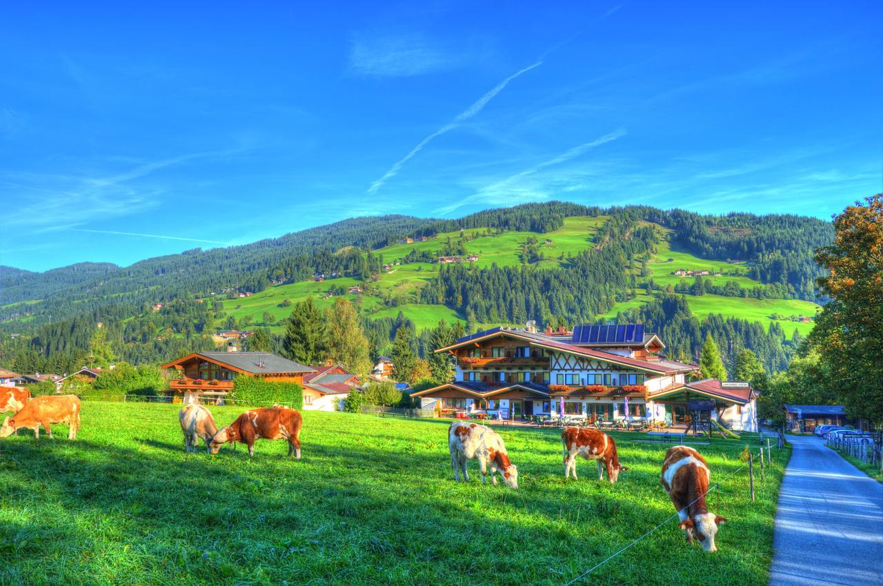 Alpenhotel Kuechl Hotel 3*